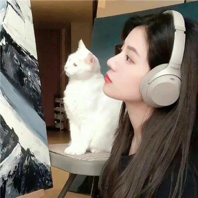 森之传说 封面